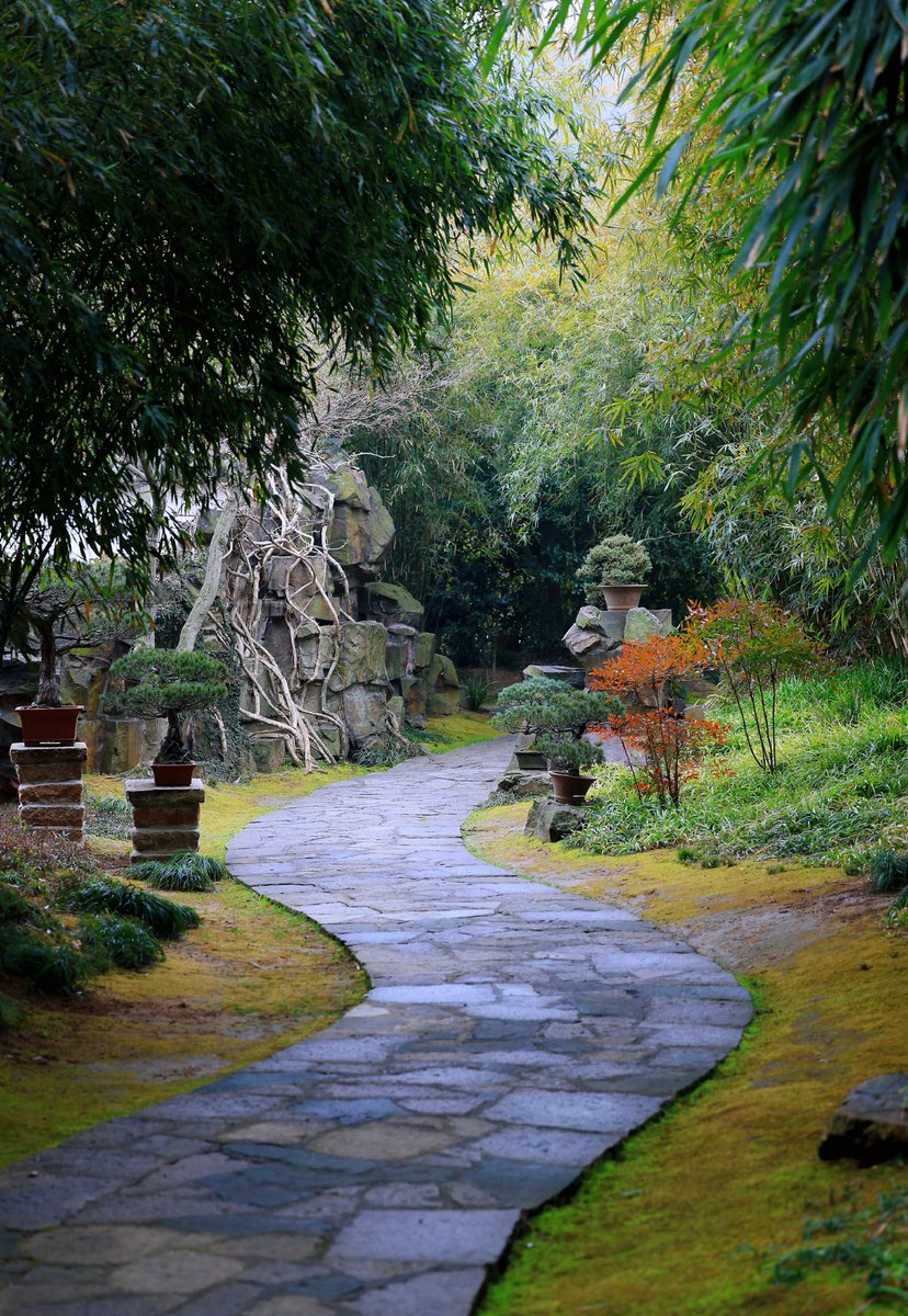 olga_izo199's tweet photo. Walking the imperial garden, the breeze swept past the porch steps—small joys in every turn. https://t.co/8NRaO5JW7q