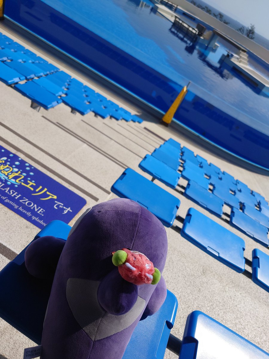 Reishi0215's tweet photo. 🫍に会いに行ってきました！
今日からね、くじの色が新色の色だったのでね(⁠ ⁠ꈍ⁠ᴗ⁠ꈍ⁠)
中華の街は通っただけw

#うるめちゃんと主の外出 https://t.co/VUGR2PpW3r