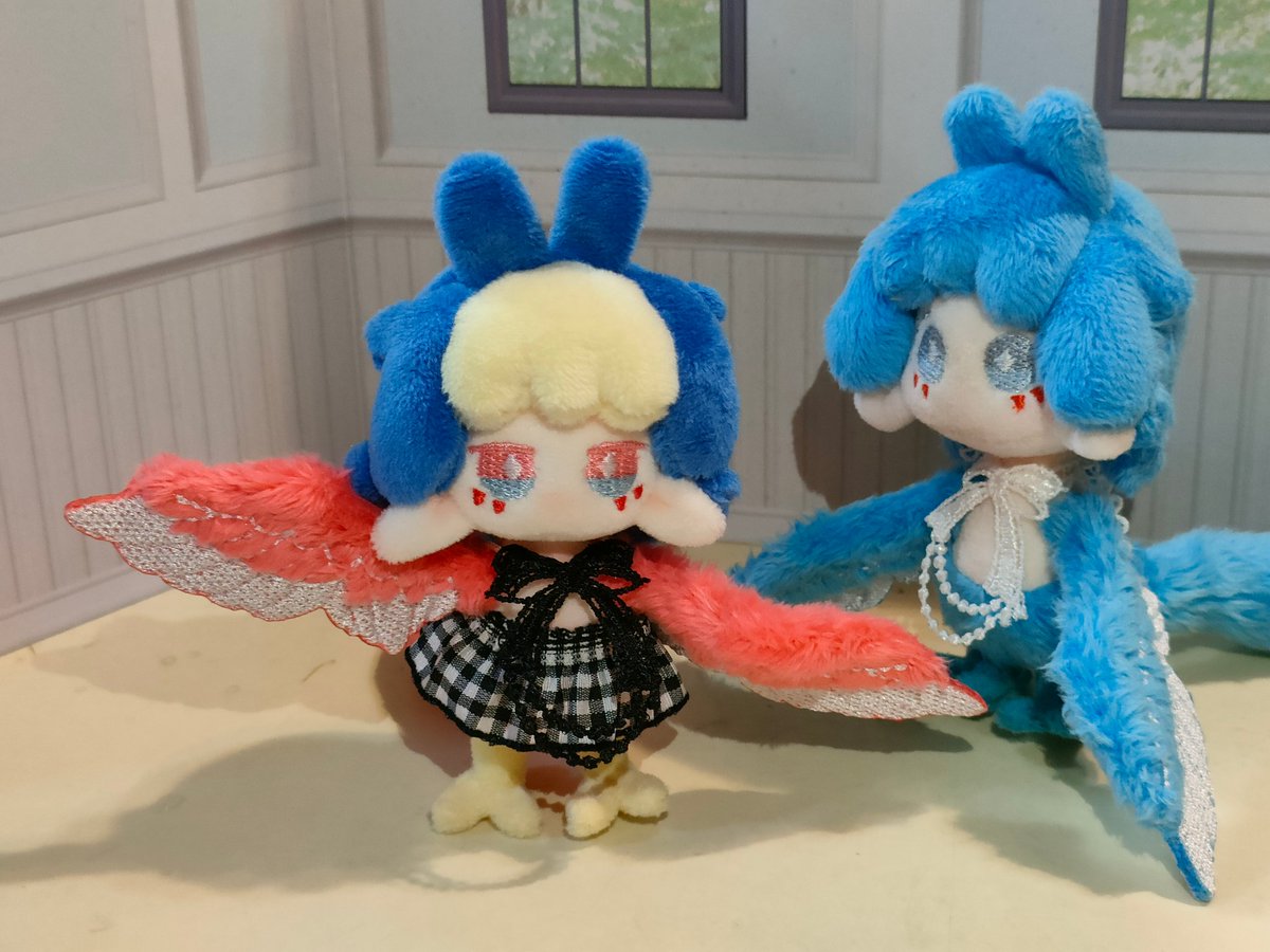 prismrrran's tweet photo. 人間��わくないよと🎁攻撃
気に入ってくれた模様。かわいいね。あとトリちゃんすっかりお兄さんだね。
なんか某🐧兄妹みたいでかわよかわよ😘 https://t.co/uOkWBXORQk