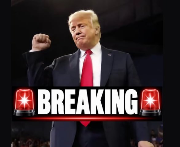 SupportJAssange's tweet photo. 🚨SHOCKING:

CNN reports that 75% of Americans say President Donald Trump should be impeached, prosecuted, and imprisoned.

Do you believe this poll?

YES or NO? https://t.co/16YLnmQrAU
