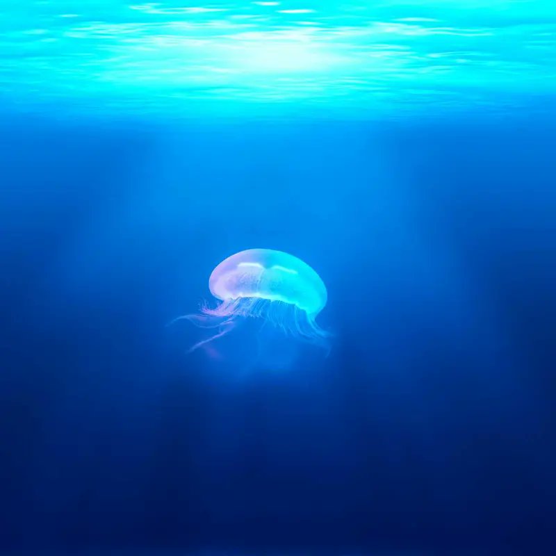 Stalkaa1's tweet photo. Death will listen to your stave.😭🤮 https://t.co/gnN0xQyAbG