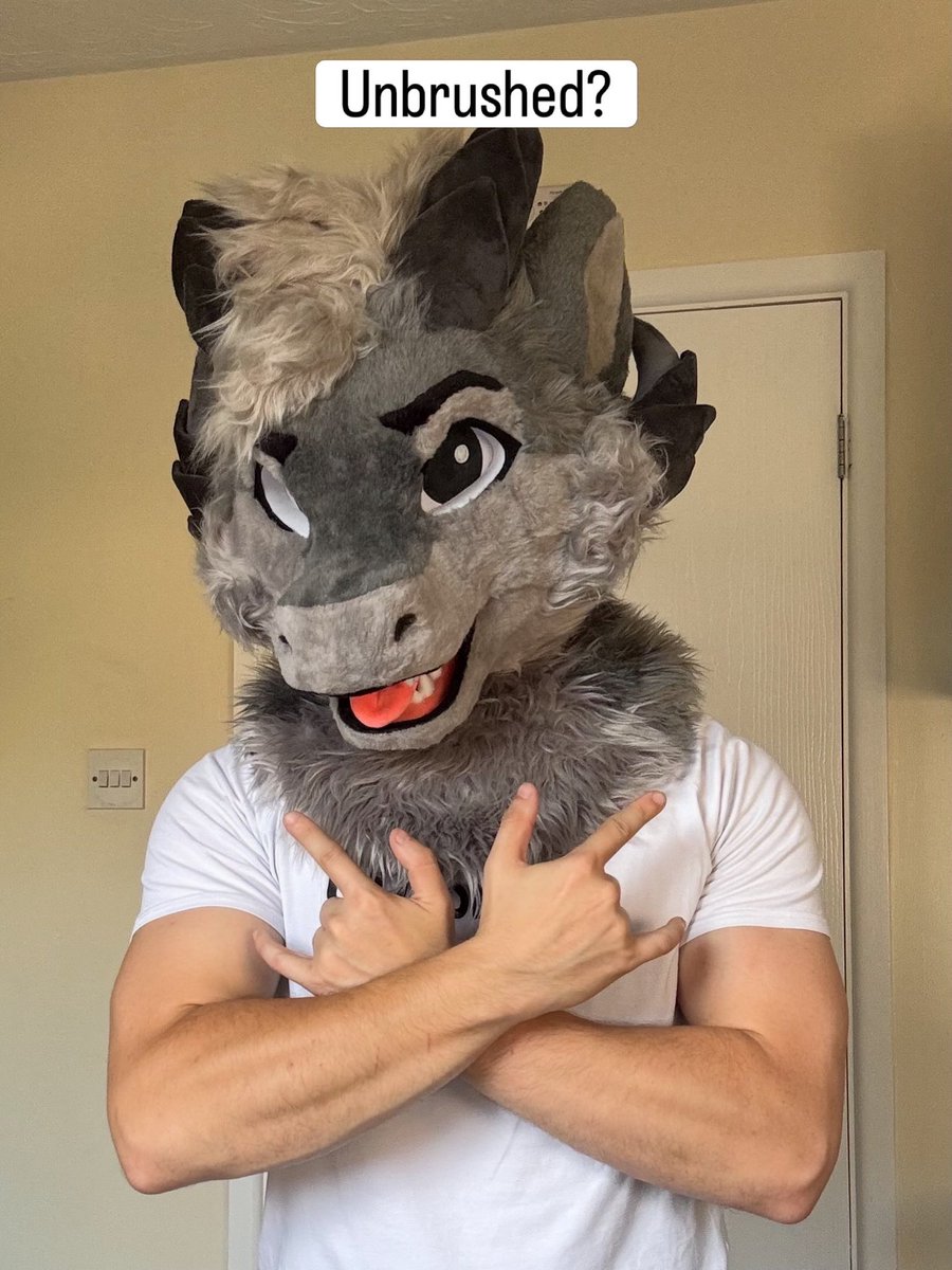 prezypaws's tweet photo. Brushed or Unbrushed?#furry #fursuit https://t.co/rMY4xDSjfK
