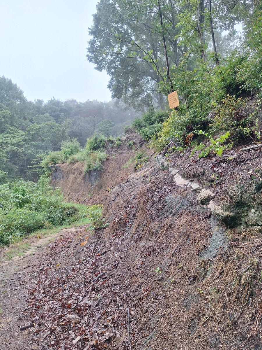 hide08277197's tweet photo. 永納山城
＊愛媛県西条市＊
雨の中行ってきましたガイド付き
１人だったら行かない雨の山城
整備されてて最近草刈りもしててくれて土塁、石列もしっかり見所あった古代山城でした https://t.co/7rw9ynN4FG