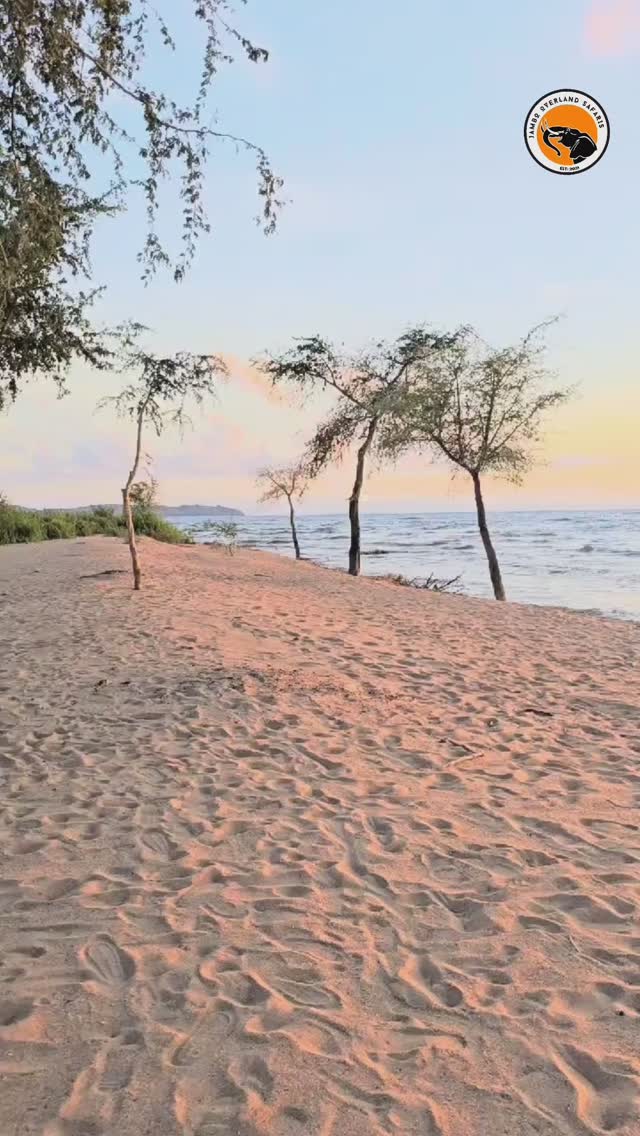 Igor2468's tweet photo. Day 4 of 18 days of overlanding from Nairobi to Victoria falls

Overlanding Malawi

#jamboafricanadventures #acrossborders #acrossafrica #lifetimeexperiences #overland #overlandsafaris #overlandtravel #overlandlife #overlandtrucksforhire https://t.co/8yCJquGJtF