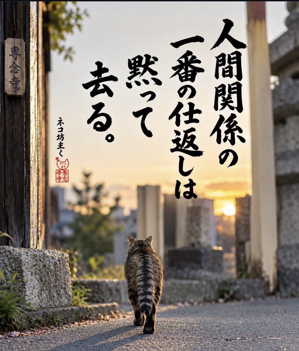 yabumoto610's tweet photo. ネコさんから人間さんへ今日の一言 https://t.co/hNxh7zYwpq