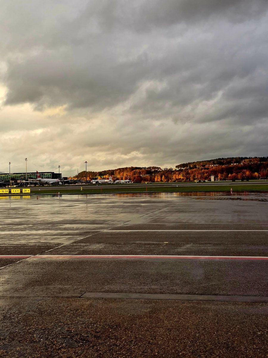 gucros's tweet photo. Bereit für ein weiteres Abenteuer ✈️✨ Zürich, das mir beim Abflug zusieht

#ZurichAirport #SwitzerlandTravel #AirportViews #TravelMood #TravelGirl #Wanderluster #AutumnVibes #Eurotrip2025 #TravelPhotography #SoloTraveling #TravelDiary https://t.co/NtxUtPfdxi