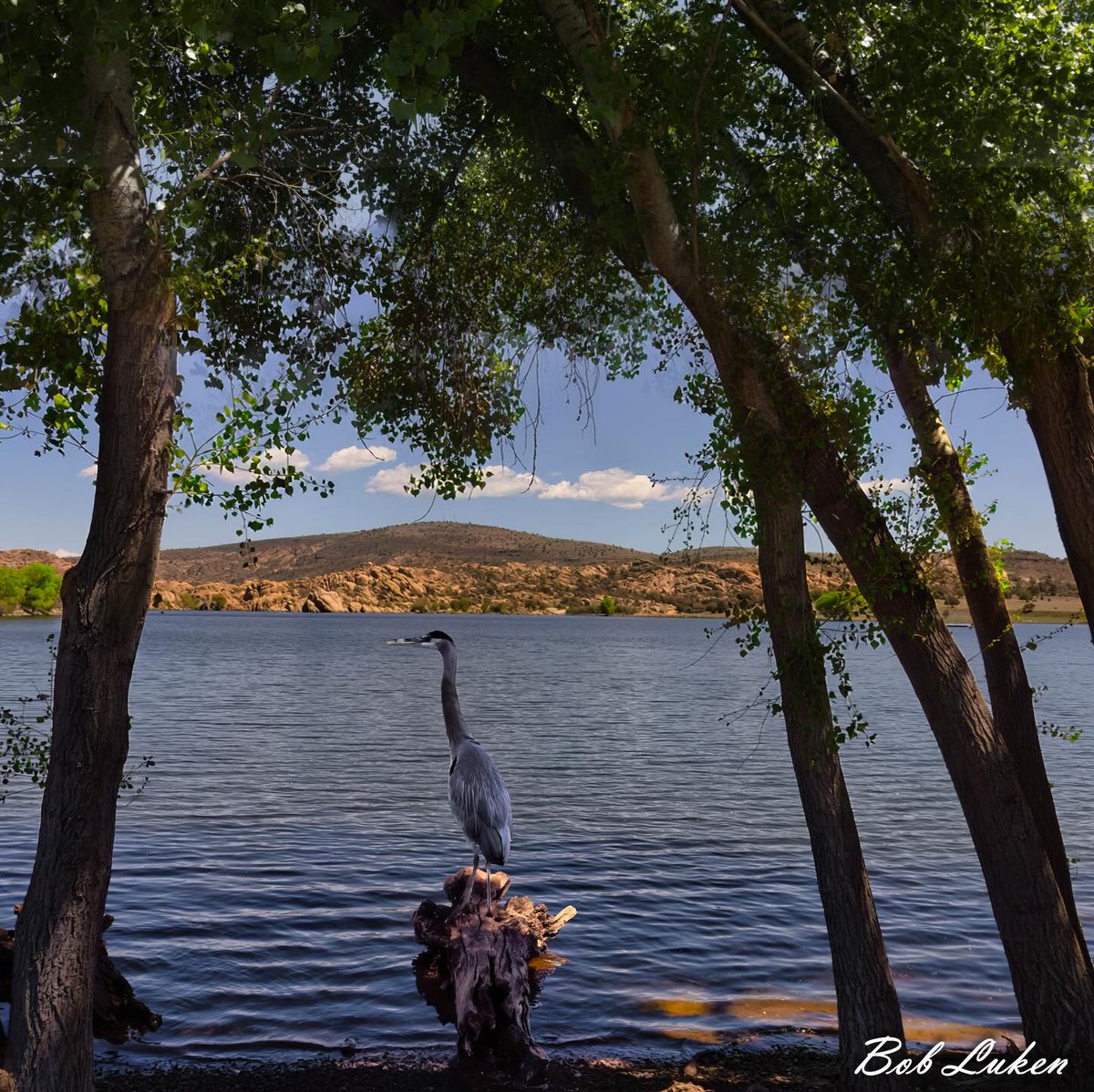 biel_guns's tweet photo. Prescott weather is awesome come enjoy our lakes! https://t.co/fhoMqWL3r0