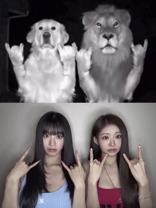 vonhaneul's tweet photo. https://t.co/sYButOxKsl