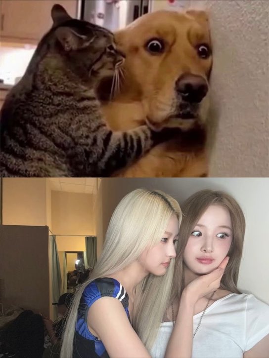 vonhaneul's tweet photo. https://t.co/sYButOxKsl