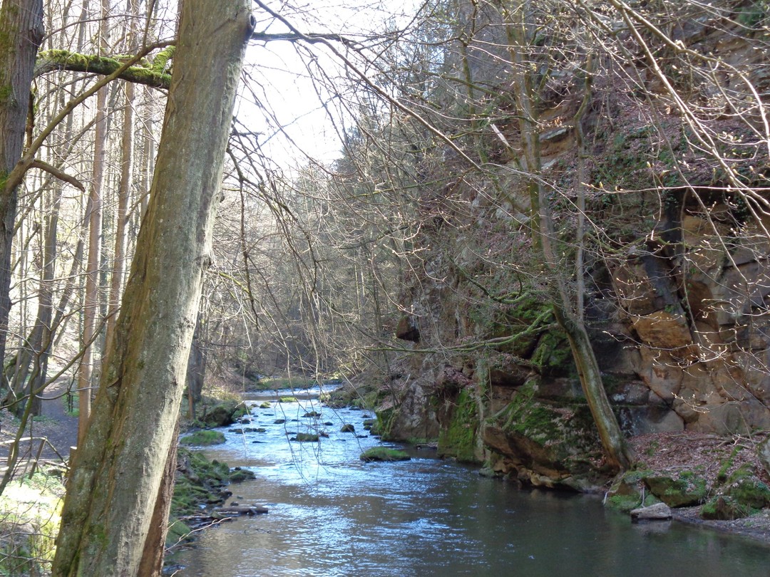 thaysanntos__'s tweet photo. Freizeitwanderung in den Liebethaler Grund

Freie Jedermann-Wanderung

Diese Tour ist etwas Besonderes. Sie führt entlang der Wesenitz auf der 1. Etappe des Malerweges zur einer Mühlenpromenade mit alten Steinbrüchen und zur Musik von Richard https://t.co/Qe1yUeztX2