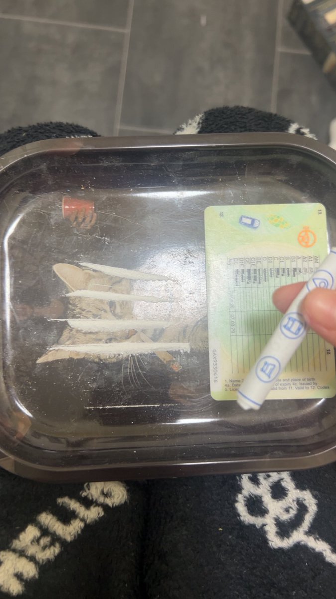 kettyvamp's tweet photo. i js ran out but i have 7g of weed so its okwy
#drugtwt #kettwt #ketwt https://t.co/7ahOZuk5D6