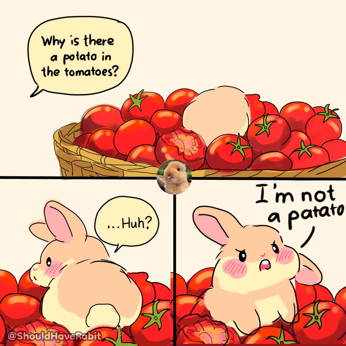 ShouldHaveRabit's tweet photo. Potato allegations. https://t.co/rXSFrA14qF