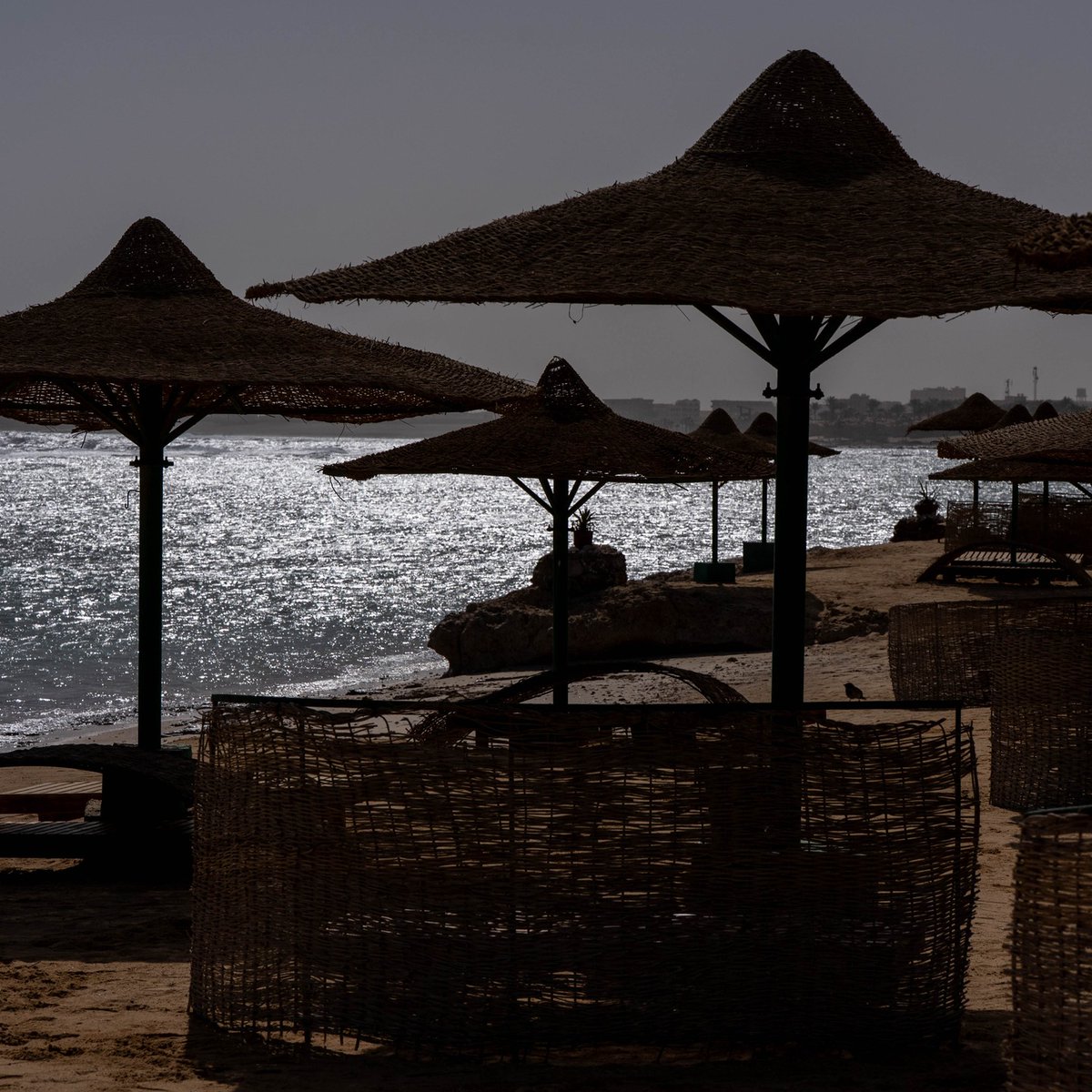 olivejon's tweet photo. #egipt #2026 #marsaalam #wakacje #urlop https://t.co/4SEmaN4LGj