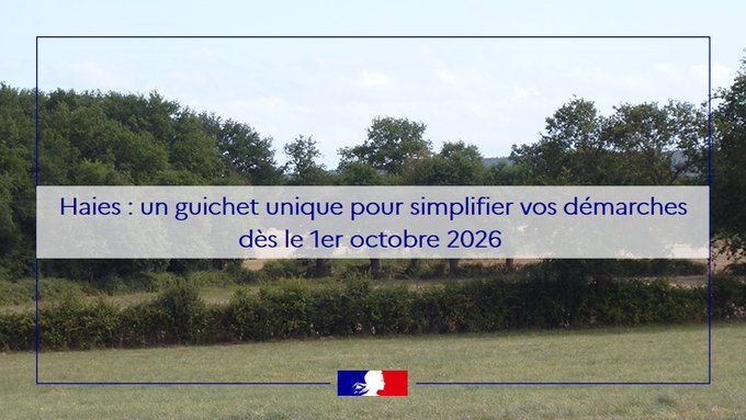 Image de l'actu de Préfète des Deux-Sèvres