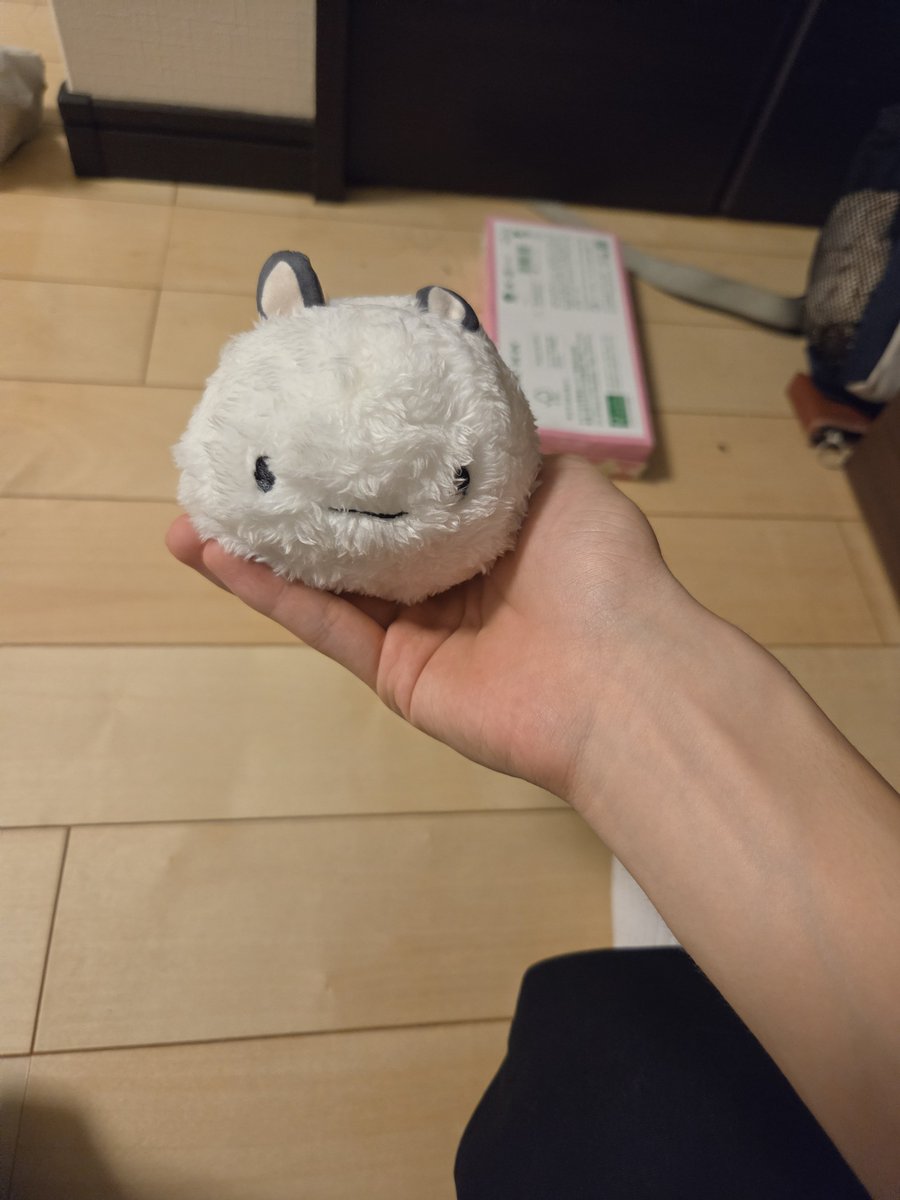 moyasiitamekunn's tweet photo. 家に𝑭𝑼𝑺𝑯𝑰が来ました！ https://t.co/7P0PUb1rR8