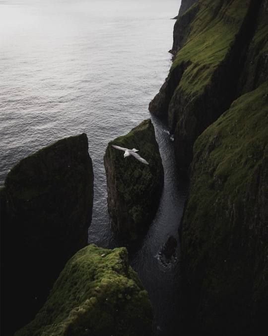 onllycutestuff's tweet photo. Faroe Islands https://t.co/UfULFcLM8D