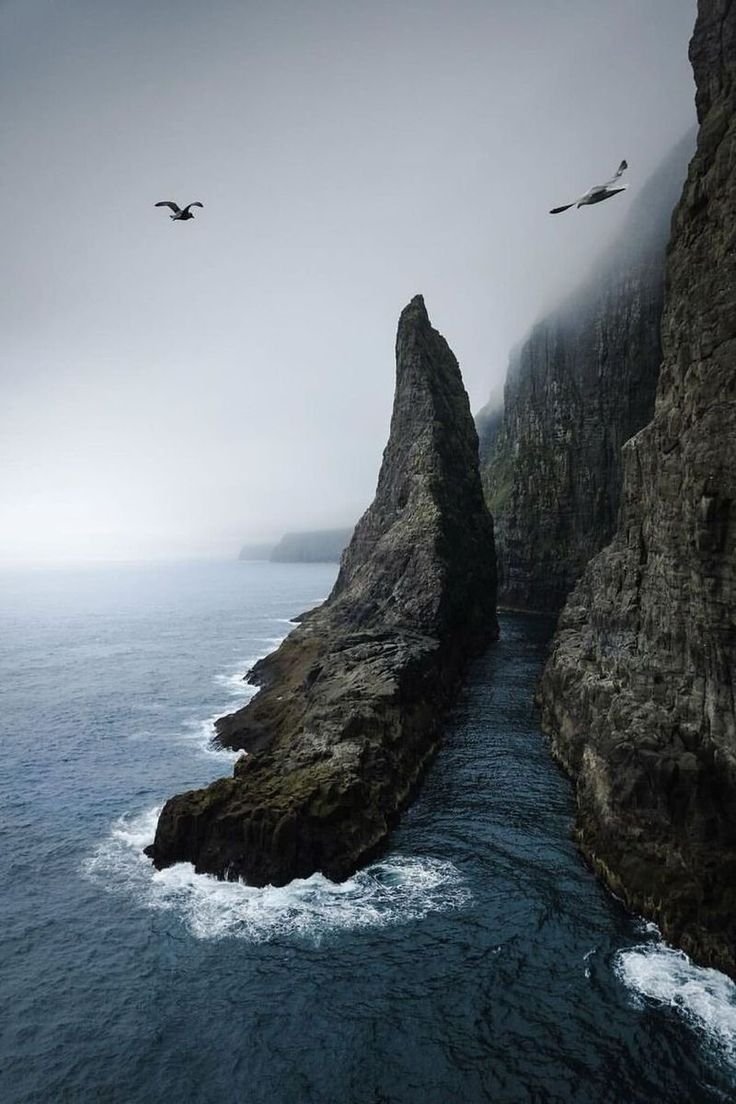 onllycutestuff's tweet photo. Faroe Islands https://t.co/UfULFcLM8D