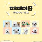 Photo by 동물자유연대 (@animalkorea)