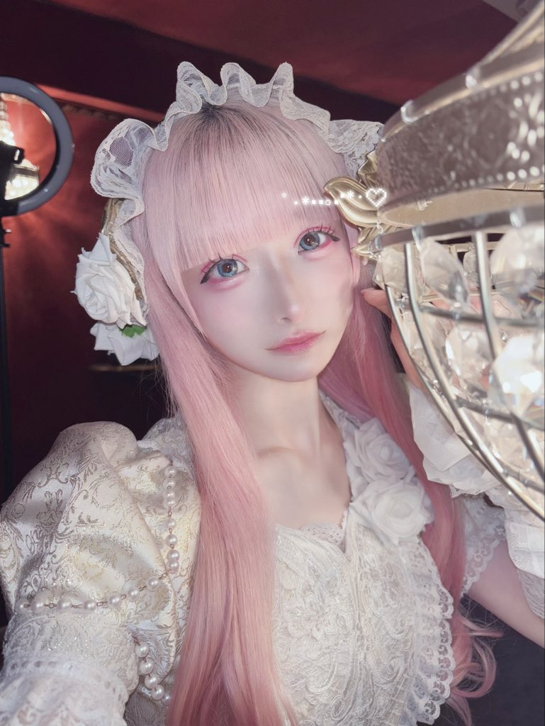 _waruicotton_'s tweet photo. 白薔薇 https://t.co/JXJrefF84p