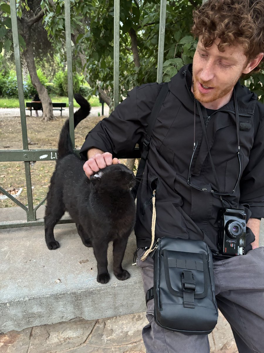 _Indieanna's tweet photo. Gatitos en Grecia. La distribución de gatos no aplica acá porque gobiernan los gatis. https://t.co/ZC5NbDKnbS