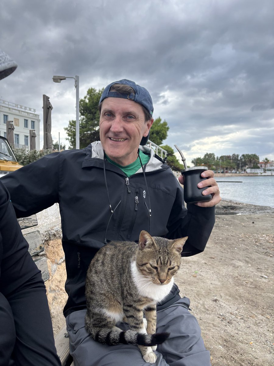 _Indieanna's tweet photo. Gatitos en Grecia. La distribución de gatos no aplica acá porque gobiernan los gatis. https://t.co/ZC5NbDKnbS