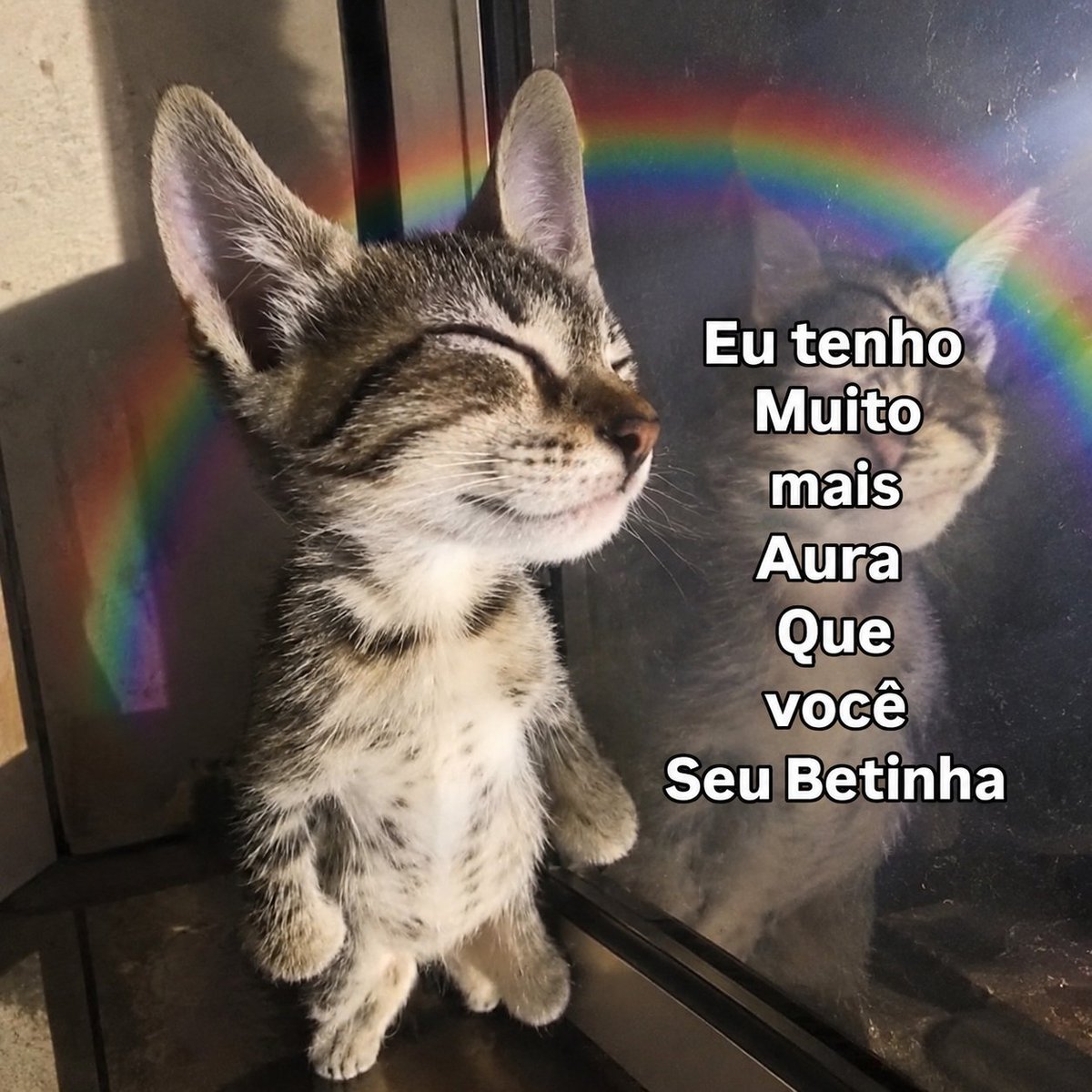 acervobichinho's tweet photo. https://t.co/wGAZfVlmC9