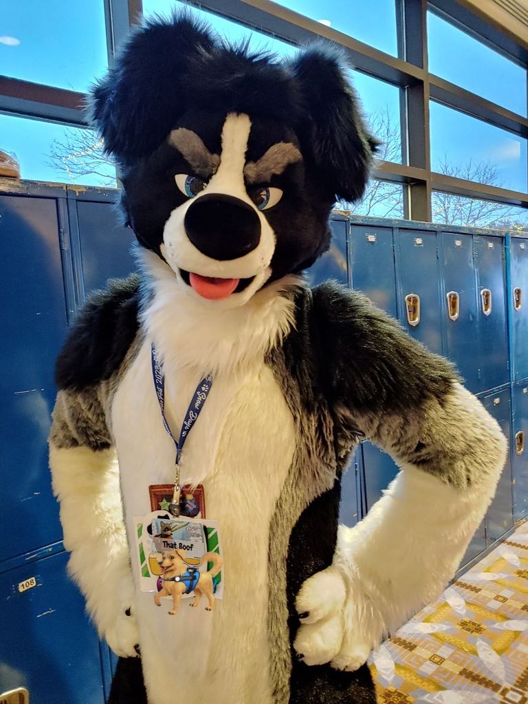 BigBoof's tweet photo. Dog is coming to Aquatifur!

Please say hi the traditional way (petting me for 5 hours straight) 🐶 https://t.co/yoG7SVvrNH