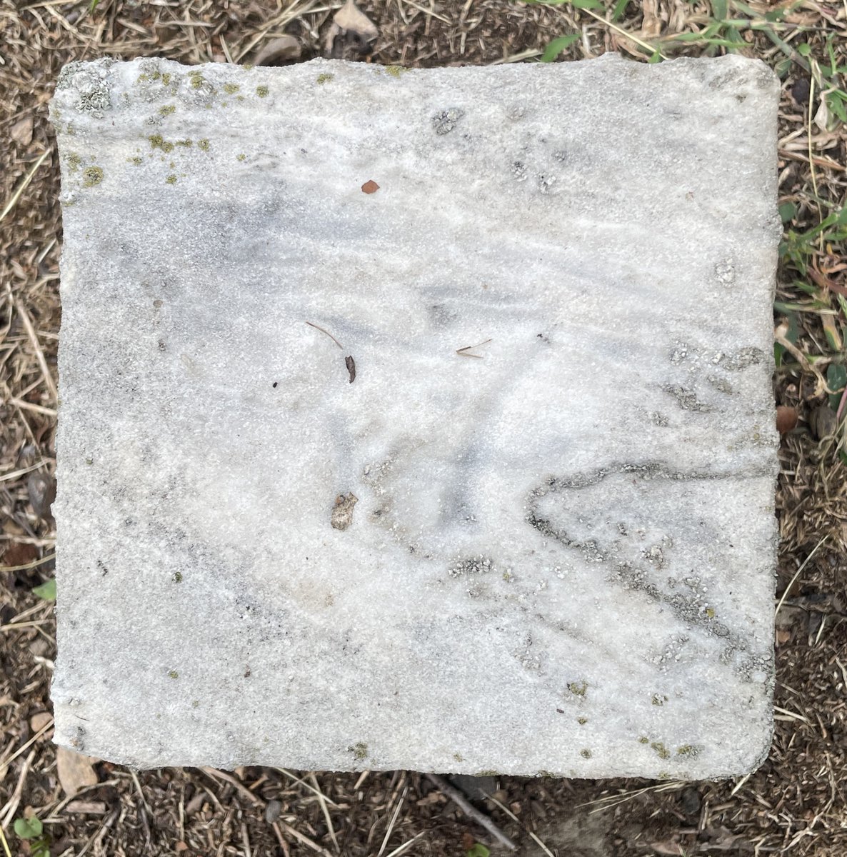 HanoverDragoons's tweet photo. @TheAmRev @dixie_cavalier The grave exists as a numbered block but there is no headstone identifying him by name.  Burial records do indicate he is there in grave 8. https://t.co/j7EbPOYqbE