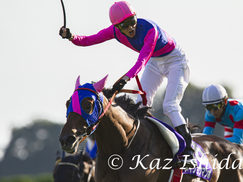 HimawariKaz's tweet photo. メイショウマンボ
(2013年 秋華賞)

Meisho Mambo,a multiple Gr.1 stakes winner
(photo:2013 Shuka Sho (Gr.1)) https://t.co/NzclOA1f6Q