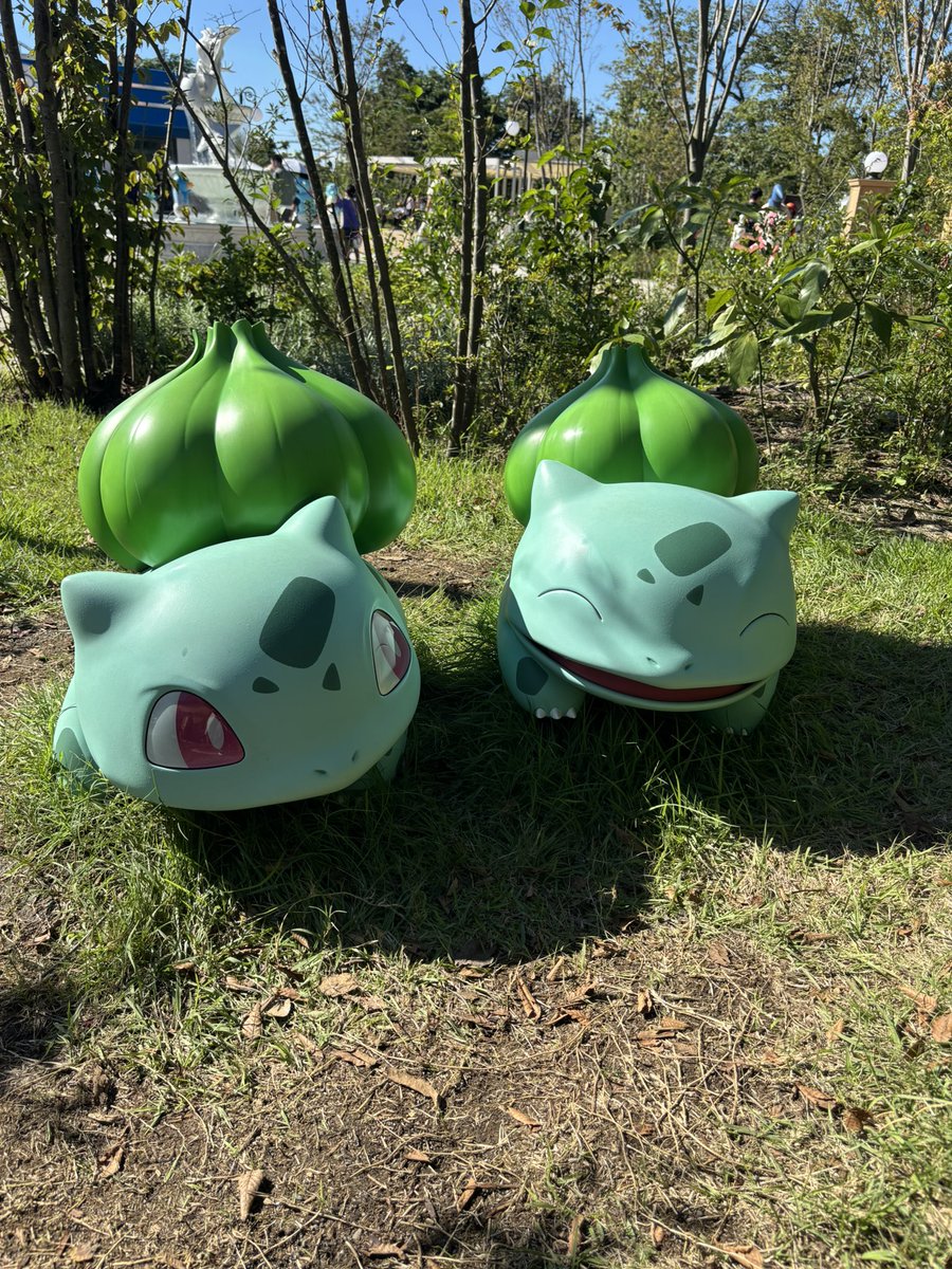 demi___glace's tweet photo. 初ポケパークぼっちでも楽しかった！
カメラロールがフシギダネだらけ☺️
 #ポケパーク https://t.co/ONW0EqUjcS