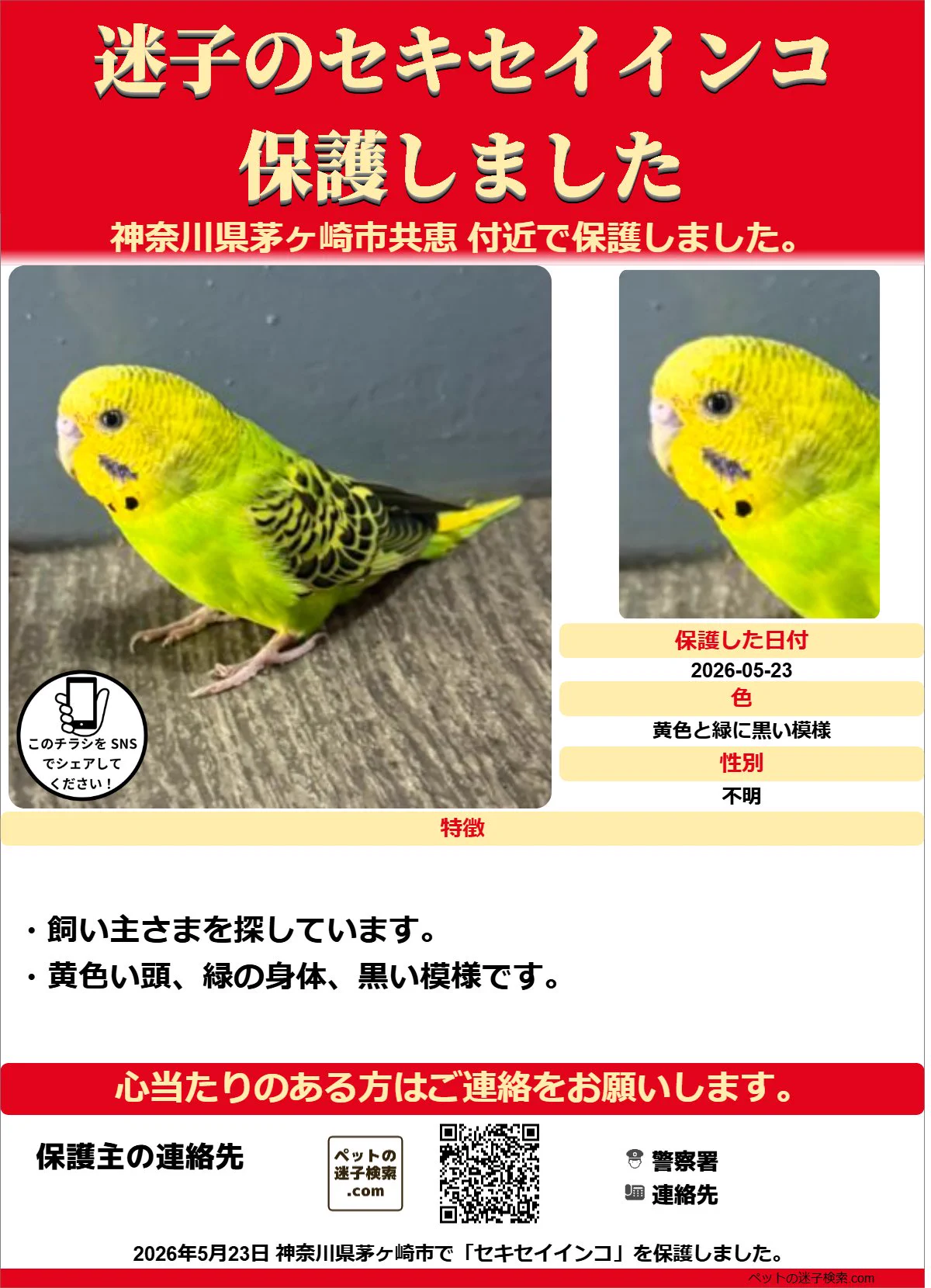 本家】ペットの迷子検索.com on X: 
