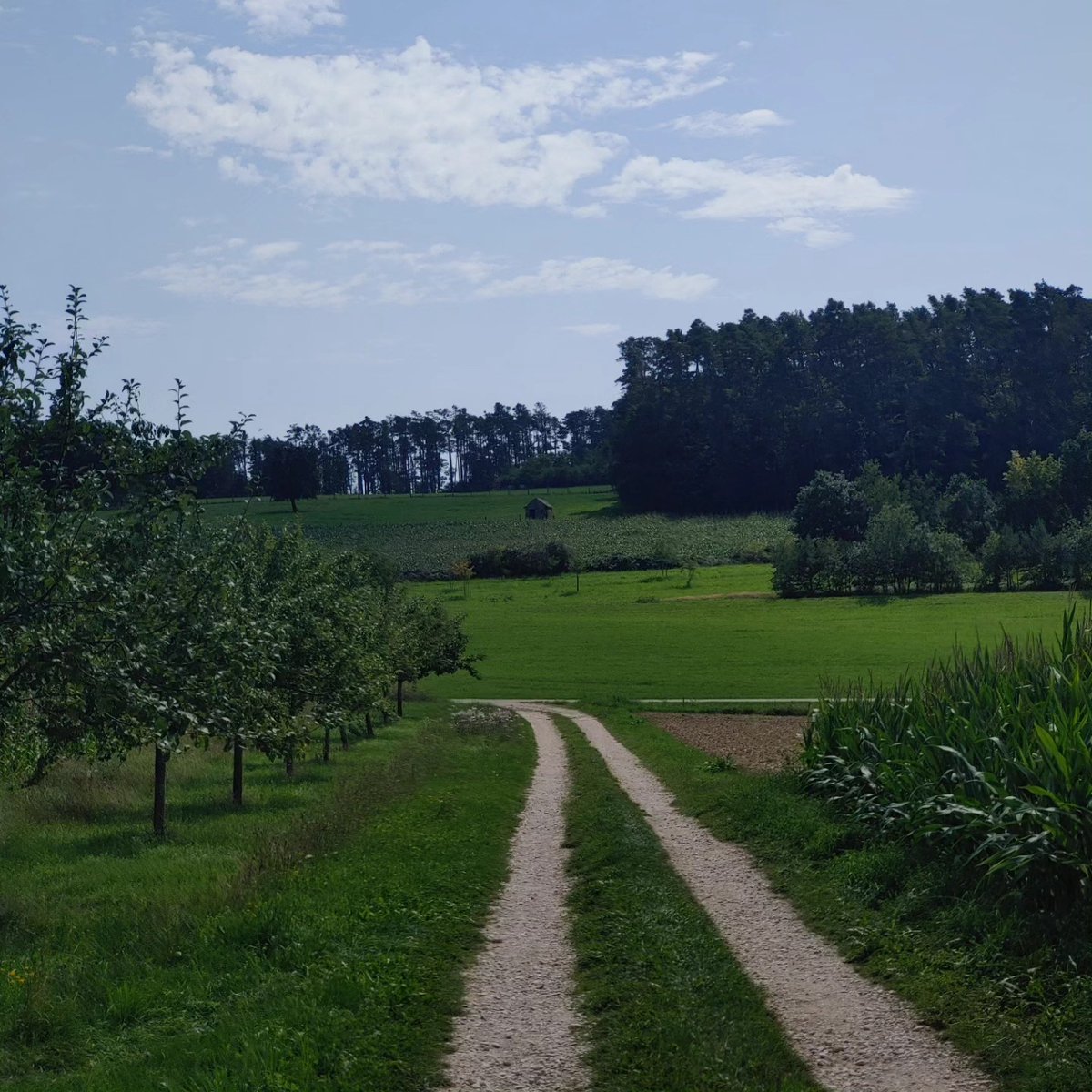 aleksomb's tweet photo. Wandern in Mittelfranken bei Wernfels
am Sonntag, dem 20. 08. 2023

#wandern #natur #sonntag #mittelfranken https://t.co/NntEGsP4xi