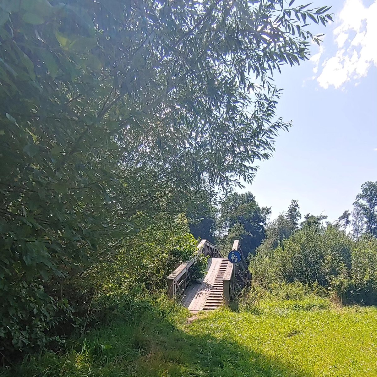 aleksomb's tweet photo. Wandern in Mittelfranken bei Wernfels
am Sonntag, dem 20. 08. 2023

#wandern #natur #sonntag #mittelfranken https://t.co/NntEGsP4xi