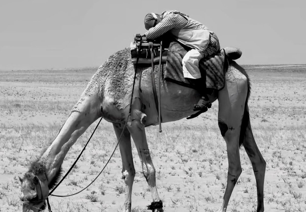 Qhta10ni's tweet photo. يمكن تغمض وحاجتك بُعد الفرقدين 
   وتصبح بلطف من الله ماتبعد متر https://t.co/lBaeWTrciR