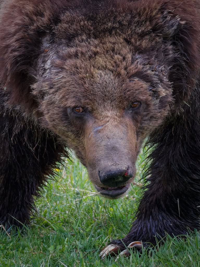 bearsdaily_'s tweet photo. https://t.co/j2BMiBTPFD