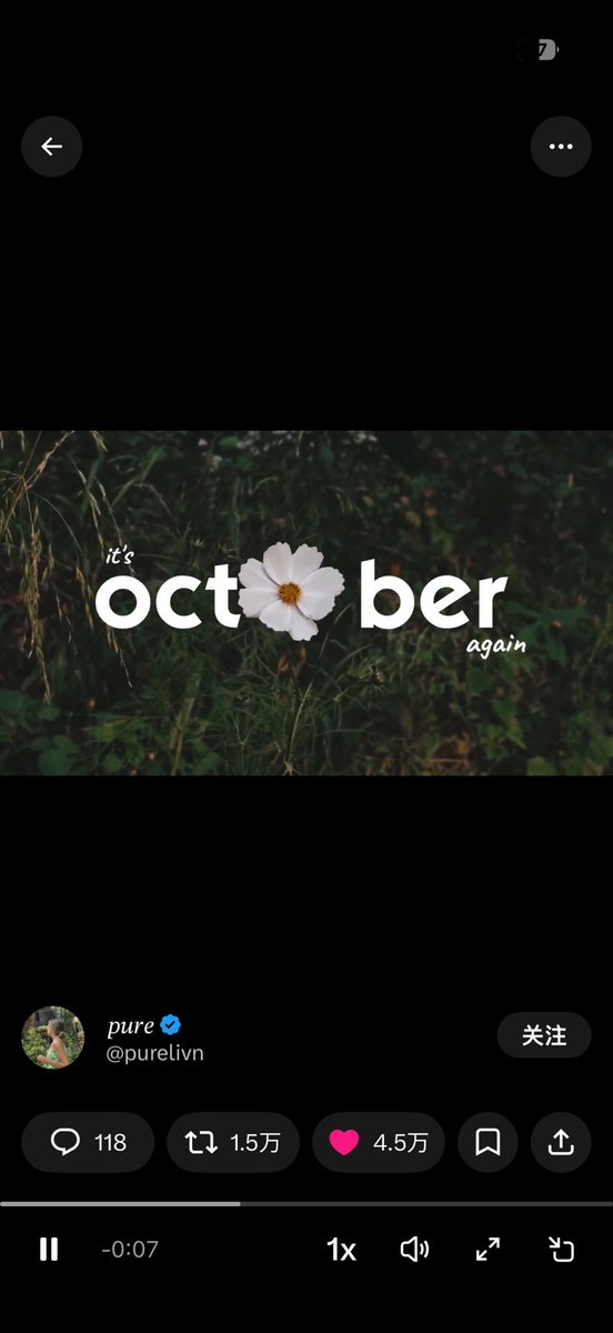 afterhours1111's tweet photo. Oct🌸ber https://t.co/17hGDieL1E