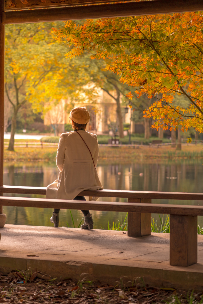 MacyCihbn's tweet photo. Esta maana el sol brilla mucho, el aire es fresco y perfecto para un paseo por el parque, qué día tan agradable de otoo!， https://t.co/cGOluBGg4j