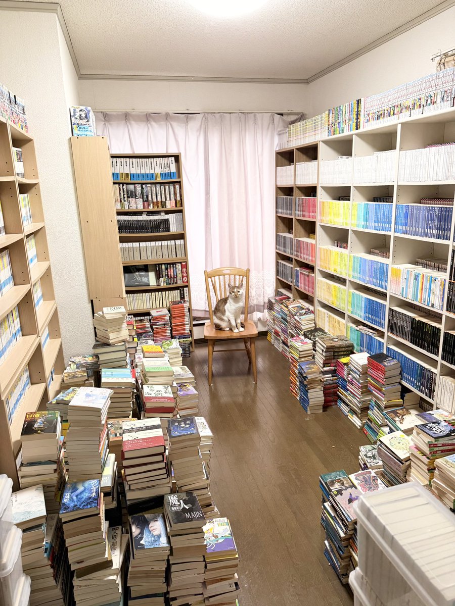 VZlHaHj18EPuhct's tweet photo. ←子供の頃の夢は
部屋を猫カフェ図書室にする（叶えた！）

大人の夢ができました！
部屋の中に紀伊國屋書店のような大きな本のオブジェを置く（計画中！）→ https://t.co/b1GhfDwb0h