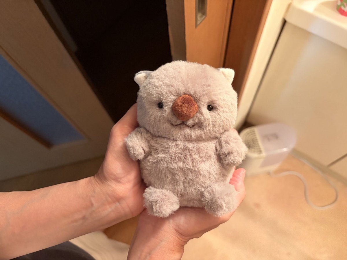 nunu_21_'s tweet photo. 生まれたてポヤポヤさん ˎˊ˗ https://t.co/7KWZEHLzxp