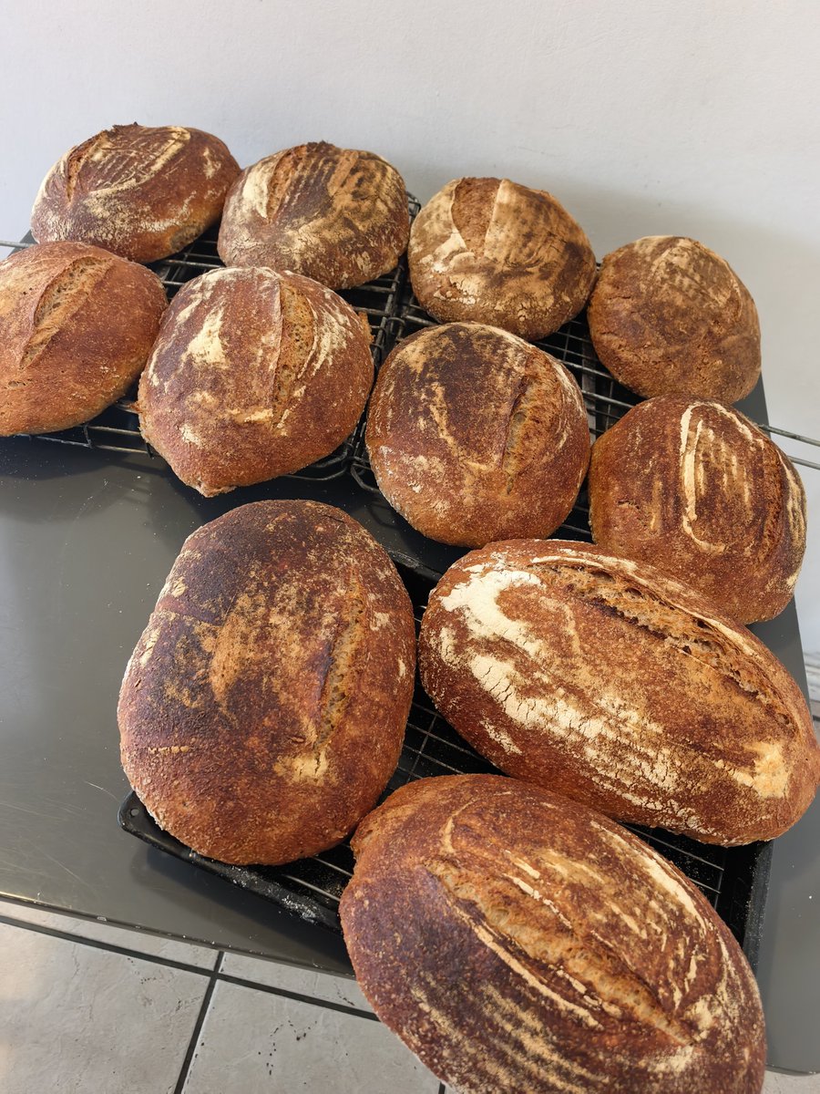 ProgressN1980's tweet photo. @TeamFuloZim allow me to showcase my sourdoughdough loaves. I used to post these as a hobby a while ago but I have now created a homebakery for my family needs and also to supply a small niche clientelle. I give myself a 10/10 https://t.co/HYRT05ZMwE