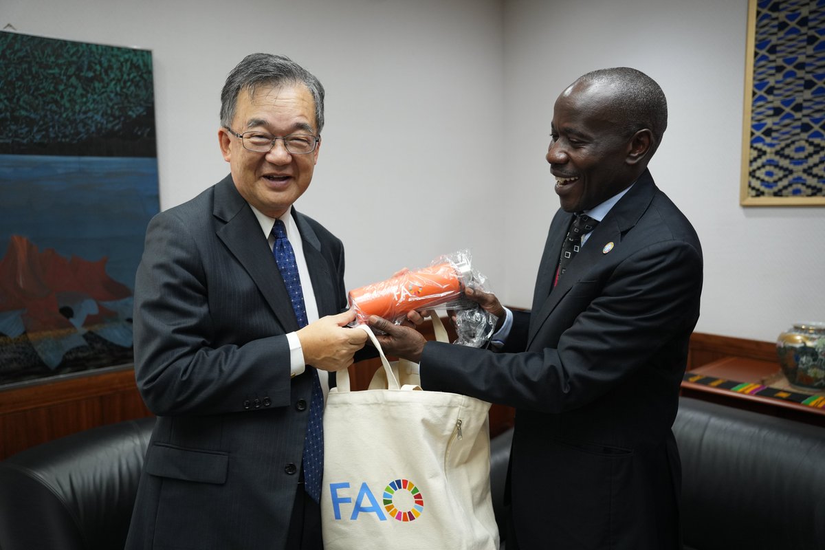 FAOGhana's tweet photo. The FAO Ghana Representative, Dr Meshack Malo, has paid a courtesy call on the Ambassador of Japan 🇯🇵 to 🇬🇭, H.E. Hiroshi Yoshimoto, to strengthen collaboration and explore opportunities to advance sustainable agriculture and food security in 🇬🇭. https://t.co/6Drn7lzwAY