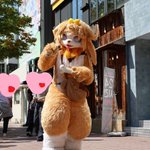 Photo by 버터 & 퍼터 (@Cleandklear)