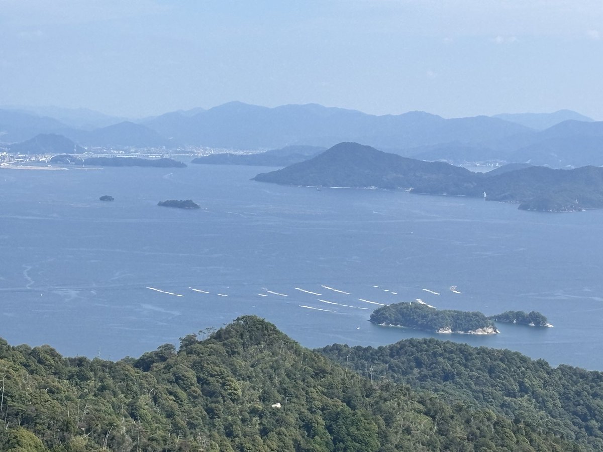 tommyzmnkn's tweet photo. 今日は幸運日ということで、弥山登山へ⛰️⛩️ご祈祷もしていただき、これからも勉強を頑張ると誓ってきました🙏✨ここまで学びを続けてこられたことに感謝しつつ、また新たな気持ちで一歩ずつ…📚
#放送大学
#弥山 https://t.co/wONsHBqfyl