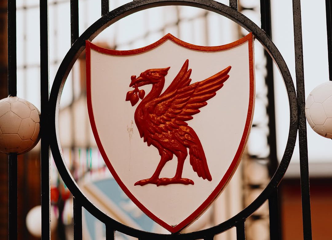 CarinaKJacob's tweet photo. If you are a Liverpool fan and you come across this, I just want you to know that I love you. I’m rooting for your happiness and success.

But I also have a confession…

I wanna marry you. 😌😉 https://t.co/pazr0bzxDr