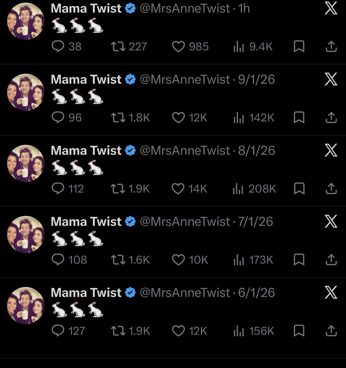 notinthesameray's tweet photo. i really appreciate anne’s dedication to these damn bunnies bc what do you mean it’s the only thing she’s been posting since 2023 https://t.co/646iB671PE