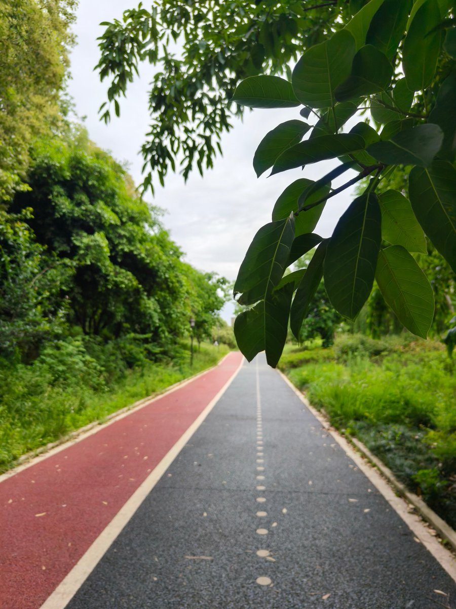a16cf_777's tweet photo. [This morning, I took a 乘厍泵脑继 to the quiet park, where the cool breeze calmed my busy mind. Keep going!] https://t.co/kpLBJM6jsb