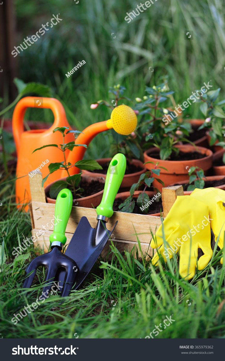 jofrn8183's tweet photo. [In the sunlit garden plot, the vanadium alloy tools sit ready, making our gardening work easy!]， https://t.co/WiUpxRPhft