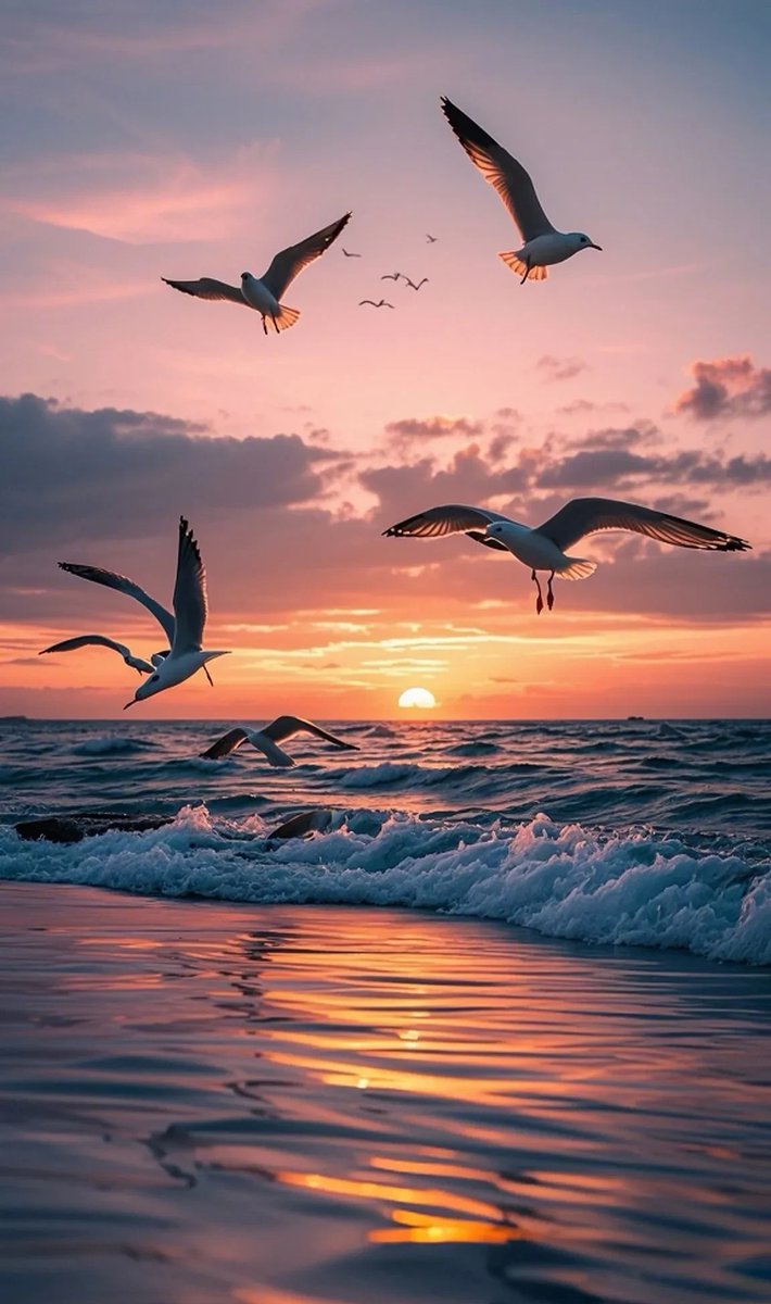 MadieRobemna5's tweet photo. Este tema de guitarra acústica me transporta a atardeceres de playa!  Vibraciones perfectas para cualquier momento relajante. https://t.co/lhCMMduT6r