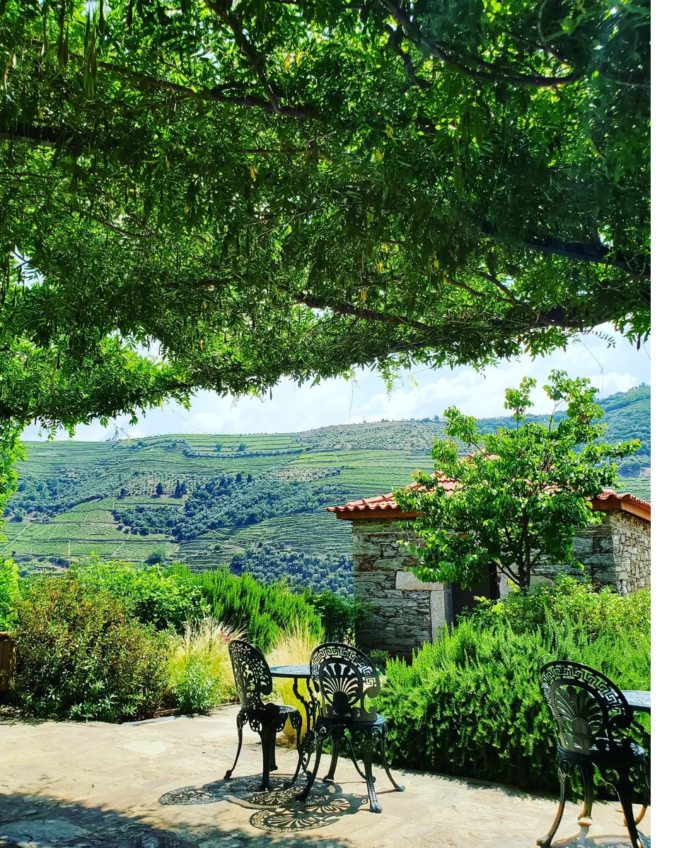 gamadocan's tweet photo. the Duoro Valley in Portugal 😍😍😍

#wanderlust #adventureseeker #doyoutravel #travelmore #goexplore #wonderfulplaces #openmyworld #lovetotravel #adventurethatislife #roamtheplanet #Travelbook #Traveller #Travel_Captures #Instatravel #SeeTheWorld https://t.co/ouPfOQVDxl