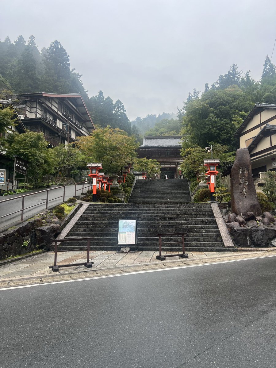 kusodebumeet's tweet photo. ＋0.6キロ
旅行に行って少しリフレッシュしたはずなのに、仕事って現実が押し寄せてくる＿|￣|○
月を跨いでも押し寄せてくる(´-ω-`)
でも、写真を見ると少し癒しを思い出す(*´꒳`*)
クソデブが野生の鹿の親子に出会ったぁ(๑˃̵ᴗ˂̵) https://t.co/hhMh1Vud5d